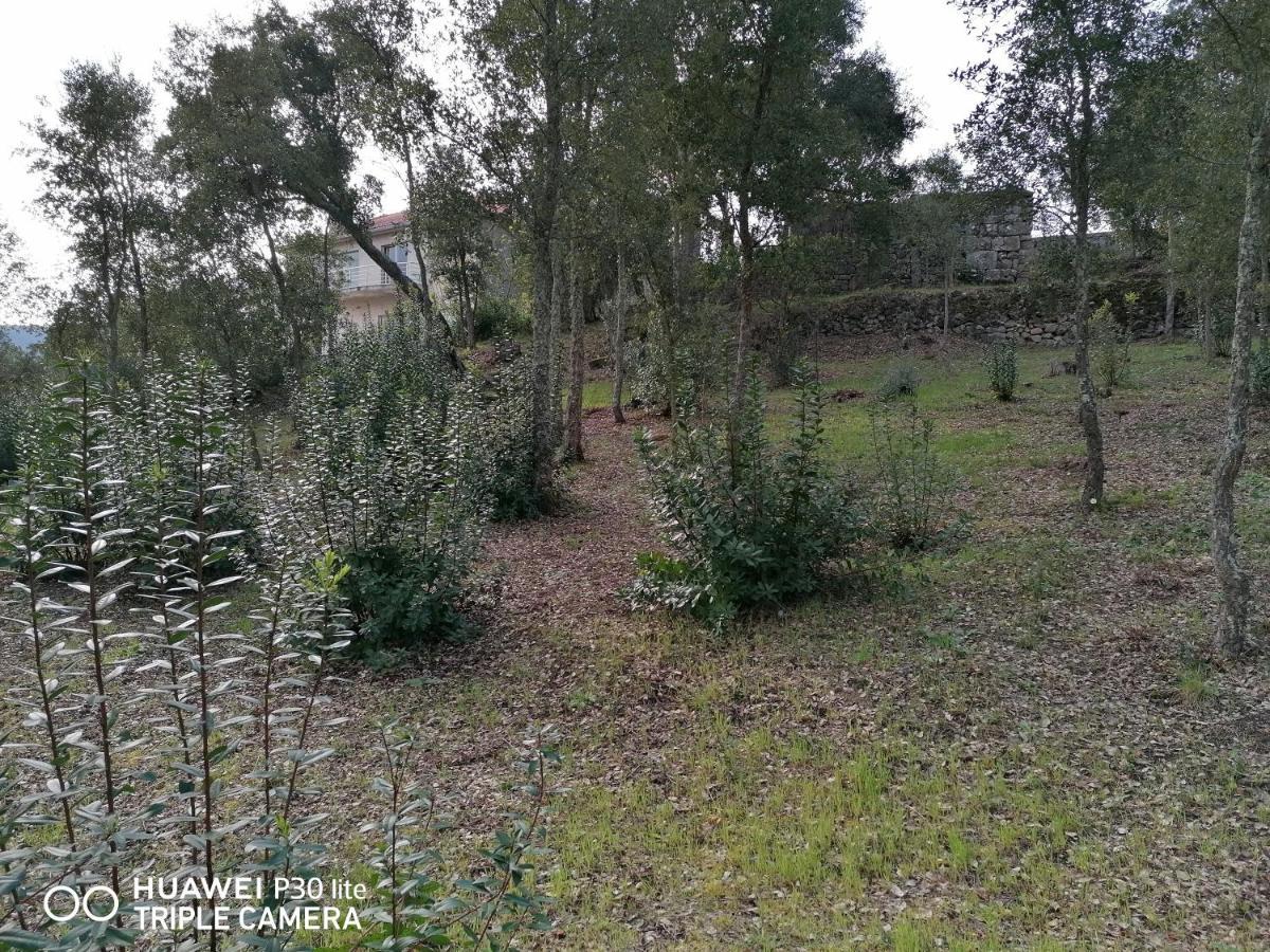 Вилла Casa Douro Terrace Байан Экстерьер фото